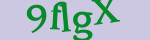 Enter the character string shown in the picture
